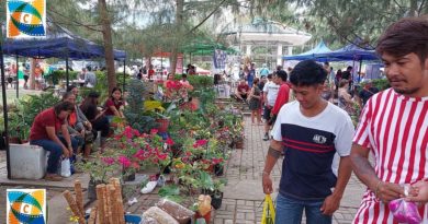 SIGHTS of NEGROS ORIENTAL - EVENTS - At the Sunday market in Valencia