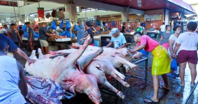 SIGHTS of NEGROS ORIENTAL - Buying meat early in the morning at the market