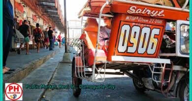 sights of Negros Oriental - Photo for November 08, 2023