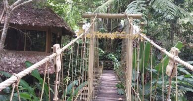 SIGHTS of NEGROS ORIENTAL - BLOG - Enjoyable hours at the Forest Camp in Valencia