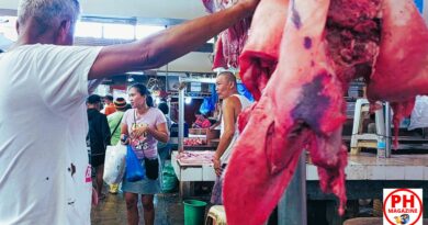 SIGHTS of NEGROS ORIENTAL - BLOG - Meat section at the public market in Dumaguete City