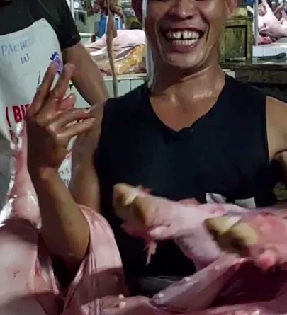 Slaughtered pig deliveries at the market in Dumaguete City