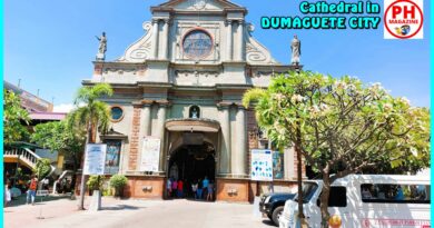 SIGHTS of NEGROS ORIENTAL - Photo of the Day - Cathedral in Dumaguete Ci