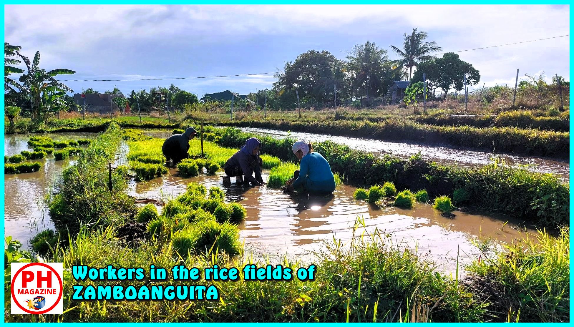 Photo of the Day for December 06, 2023 – Workers in the rice fields at Zamboanguita