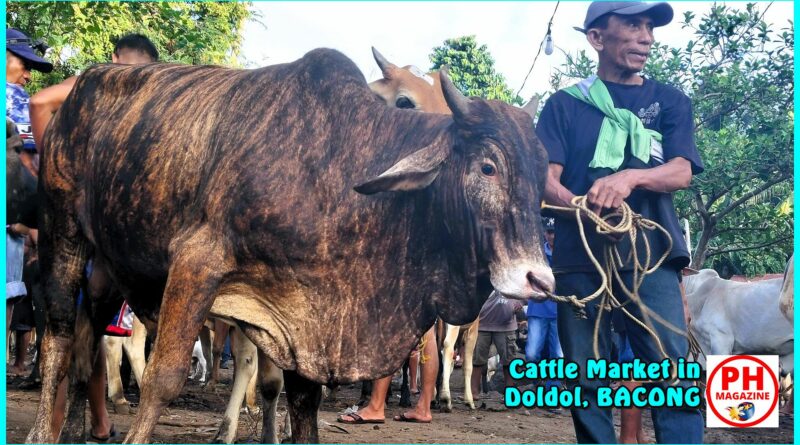 SIGHTS of NEGROS ORIENTAL - PHOTO of the DAY - Cattle market in Doldol, Bacong