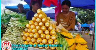 SIGHTS of NEGROS ORIENTAL - PHOTO of the DAY - Fresh Veggies from the Sunday Market in Valencia