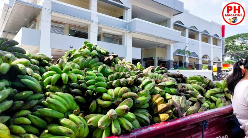 SIGHTS OF NEGROS ORIENTAL - BLOG - Direct sale of bananas in Dauin