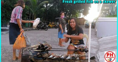 SIGHTS OF NEGROS ORIENTAL - Photo of the Day - Fresh grilled fish on a skewer