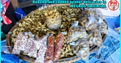 SIGHTS OF NEGROS ORIENTAL - Photo of the Day - Roasted and cooked peanut specialities