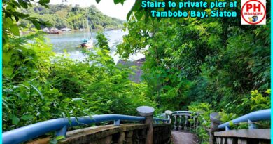Photo of the Day for December 25, 2023 – Stairs to a private pier at Tambobo Bay