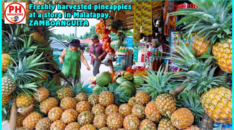 Photo of the Day for December 26, 2023 – Pineapples at a store in Malatapay, Zamboanguita