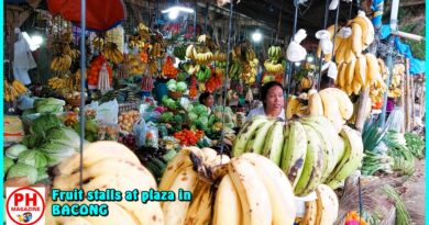 Photo of the Day for Januay 02, 2024 – Fruit stalls at the plaza in Bacong