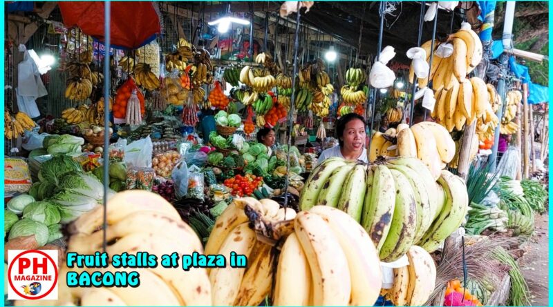 SIGHTS OF NEGROS ORIENTAL - PHOTO OF THE DAY - Fruit stalls a the plaza in Bacong
