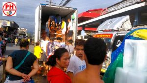 SIGHTS OF NEGROS ORIENTAL - BLOG - Delivering fish to the market