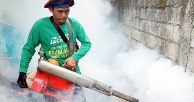 SIGHTS OF NEGROS ORIENTAL - NEWS - nticipating Surge in Dengue Cases: Negros Oriental Gears Up for Impact of Extreme Weather