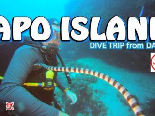 APO-ISLAND-Dauin-Dive-Trip-800×445-1