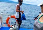 BUYING FISH on the SEA