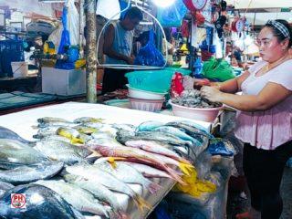 sights-of-negros-oriental-fish-market-dumaguete-01
