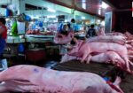 MEAT & FISH DELIVERIRD at public market DUMAGUETE