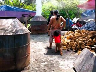 09-sights-of-negros-oriental-philippines-charcoal-making-04