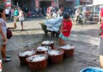Dumaguete City Fish Market Adventure: Fresh Seafood Delivery in the Philippines!